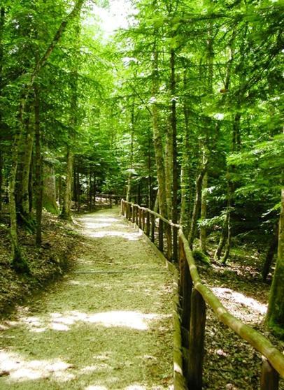 B & B Il Tratturo San Pietro Avellana 外观 照片